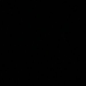 Meet your Posher, Ronique